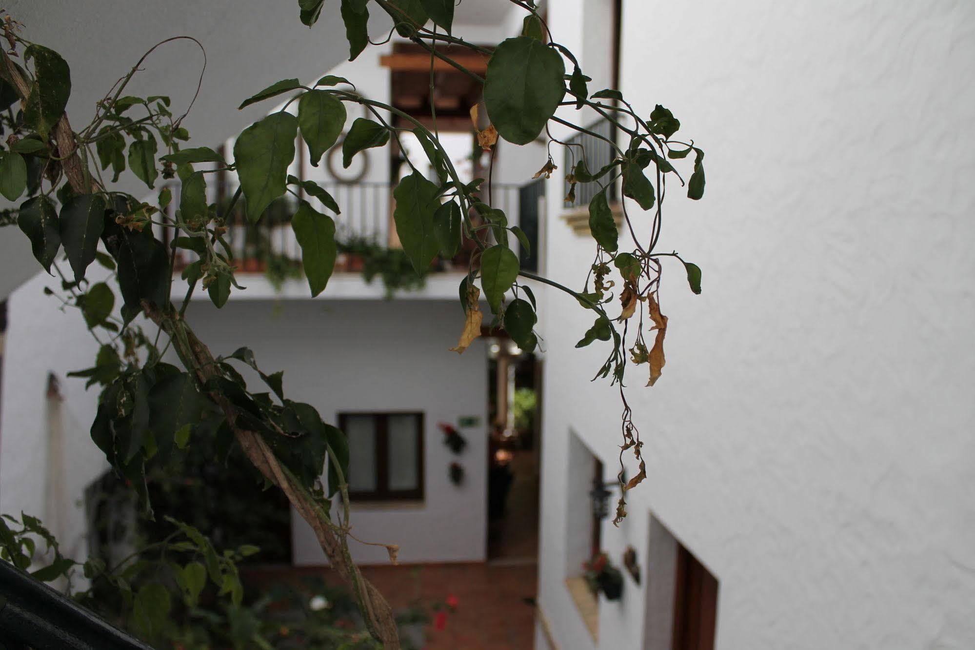 Hotel Almadraba Conil à Conil De La Frontera Extérieur photo